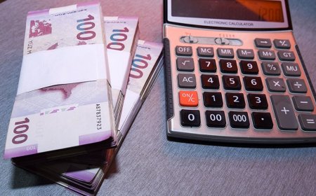 “Salyan Taxıl” ötən ili zərərlə başa vurub