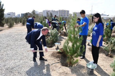 Qaradağ rayonunda “27 sentyabr – Anım Günü” ilə əlaqədar ağacəkmə aksiyası keçirildi