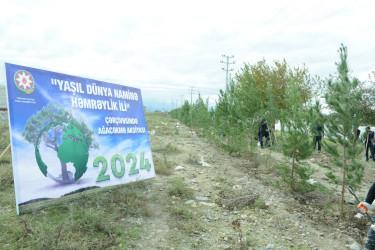 "Yaşıl dünya naminə həmrəylik ili" çərçivəsində Bərdə-Ağdam magistral avtomobil yolunun Poladlı kəndi ərazisində 