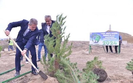 Süleyman Mikayılov ağacəkmə aksiyasında 