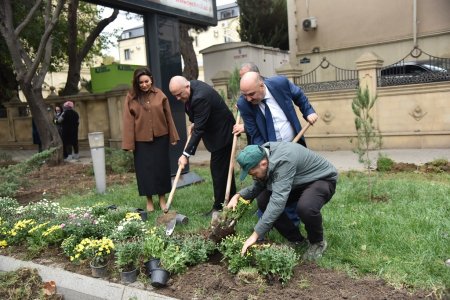 Nəsimi rayonunda “Yaşıl dünya naminə həmrəylik ili” çərçivəsində ağacəkmə aksiyası keçirilib