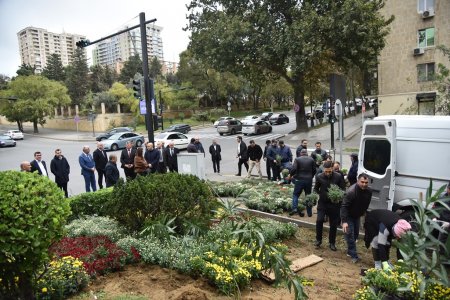 Nəsimi rayonunda “Yaşıl dünya naminə həmrəylik ili” çərçivəsində ağacəkmə aksiyası keçirilib