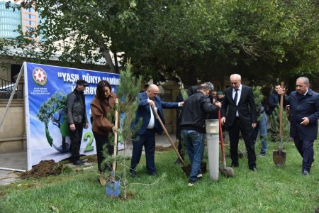 Nəsimi rayonunda “Yaşıl dünya naminə həmrəylik ili” çərçivəsində ağacəkmə aksiyası keçirilib